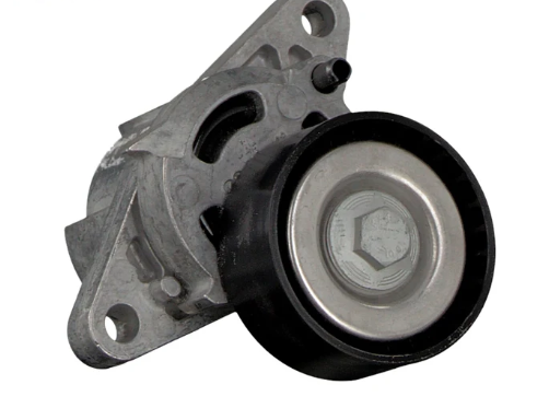 جمعية الموتر