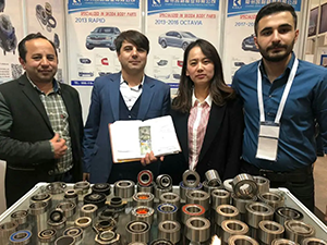 Flange Pillow Block Bearing Flange Pillow Block Bearing